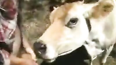 The Wild and Unpredictable World of Mi Vaca: F*cking Animal Sex