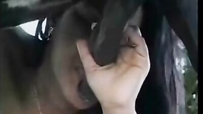 Lady Latina Takes On the Challenge of a Big Cock Horse