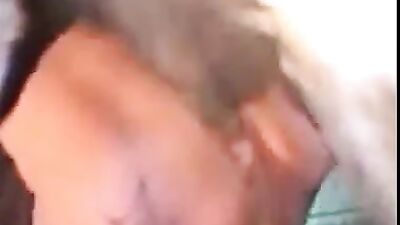 Free Man Enjoys a Wild Ride with Horse Sex