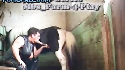 Mature BBW Sucks Horse: Animal Porn Free for All