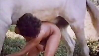 Latina Public Sees White Horse in a Whole New Light