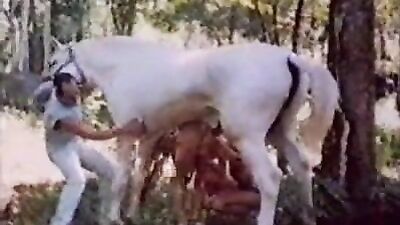 Latina Public Sees White Horse in a Whole New Light