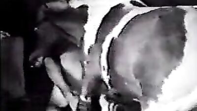 Witness the Unbelievable: A Horse on the Dark Side