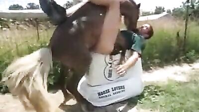 Horrifying: Woman Publicly Raped by Horse in Animal Porn Free Video