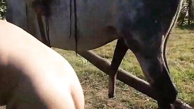 Mature Big Tits Take Ride of a Lifetime with Horse