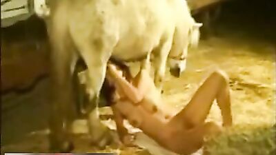Little Pony Makes Fantasy Come True for Blonde Girl