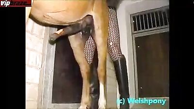 Human Tries Ass-Horse Porn: Will the Experience Make you Neigh?