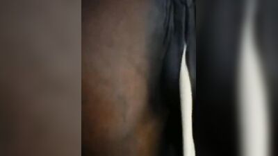 Erlebe die Aufregung einer spritzenden Stute: Geile Erfahrungen garantiert