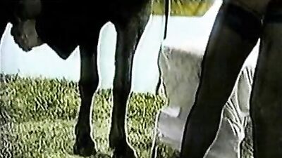 Incredible: Girl Bravely Rides Horse in a Most Unconventional Way