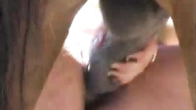 Young Girl's Most Unfathomable Act: Sucked and Fucked a Horse