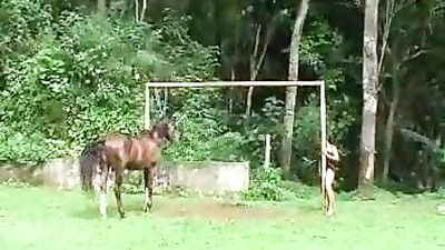 Latina Pussy Gets Ravaged by Massive Horse - Stunning and Wild Action