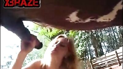 Give Your Dog the Ultimate Pleasure - Try an Orgasmic Blowjob
