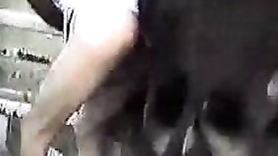 Blonde Horse Fucking: Unleashing An Unforgettable Experience