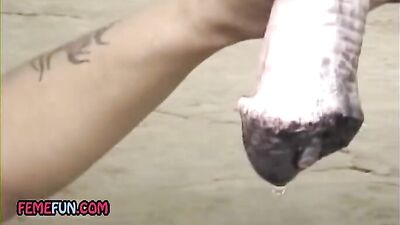 Startling Discovery: Woman Loses Virginity to Horse