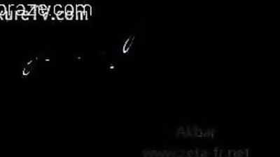Horse being sucked from below - Zoo Porn Horse Sex, Zoophilia top videos free sex sex animal porn clip