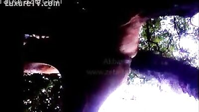 Horse being sucked from below - Zoo Porn Horse Sex, Zoophilia top videos free sex sex animal porn clip