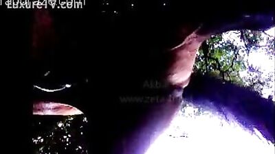 Horse being sucked from below - Zoo Porn Horse Sex, Zoophilia top videos free sex sex animal porn clip