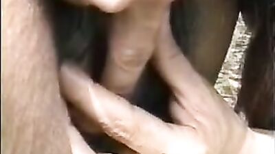 The Wildest Ride of Your Life: Experience the Thrill of Sex Horse