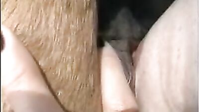 The Wildest Ride of Your Life: Experience the Thrill of Sex Horse