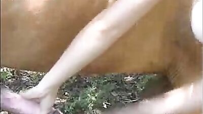 Wild and Unbridled: Witness a Horse Fucking and Sucking Fully Nude