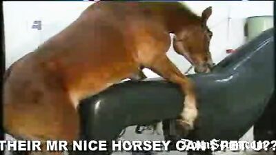 Gallop to Ecstasy: Watch the Latest Horse Porn Video
