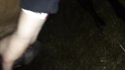 Sizzling in the Kitchen: Horse Fucking Cook Show Porn Part 2