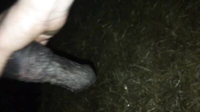 Sizzling in the Kitchen: Horse Fucking Cook Show Porn Part 2