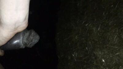 Sizzling in the Kitchen: Horse Fucking Cook Show Porn Part 2
