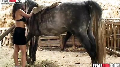 Amazing: Amateur's Point-of-View Fucking a Horse