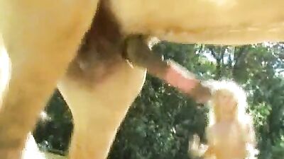 Blonde Beauty Gets Wild with Horse in Steamy Horse Porn Video
