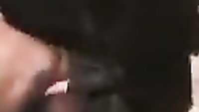 Outrageous: Witness the Unbelievable Bestiality Porn of a Girl and a Horse