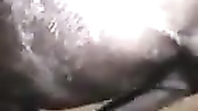 Outrageous: Witness the Unbelievable Bestiality Porn of a Girl and a Horse