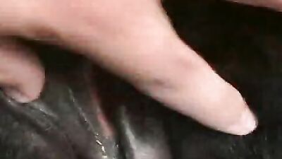 Lick Your Way to Ecstasy with the Licking Pussy Horse - Animal XXX