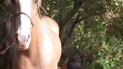 Stunning Latina Girl Gives Horse Big Dick a Wild Ride