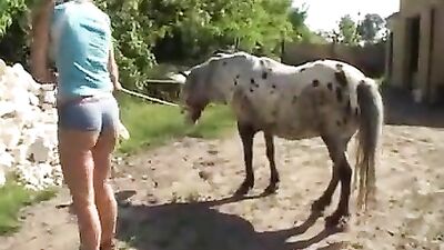 Stunning Girl Captured on Camera Sucking and Fucking a Horse Outside