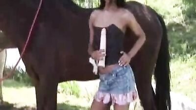 Triple the Pleasure: Get Ready for a Wild Horse Threesome