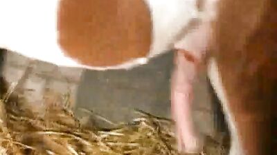 Watch Sexy Slut Ride Her Pony for Fiery Ass-Fucking