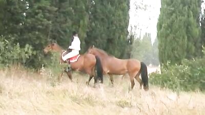 Lustful Girl Gives Wild Blowjob To Wild Horse - Get Ready for An Unforgettable Ride