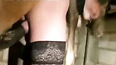 Witness the Unbelievable: Horse Fulfils Woman's Wildest Fantasies in Zoo Porn