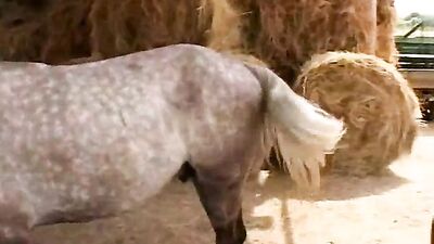 Unthinkable Horror: Man's Life Upended After Being Violently Attacked by Horse