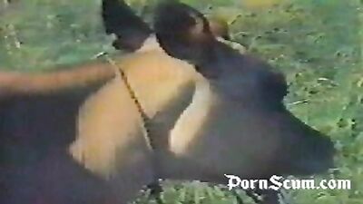 Amateur Porn For FREE: Explore the Wild World of Adult Video Now