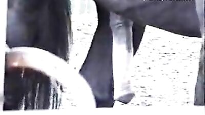 A Girl's Most Unforgettable Encounter: A Horse Fucking Her Beyond Belief