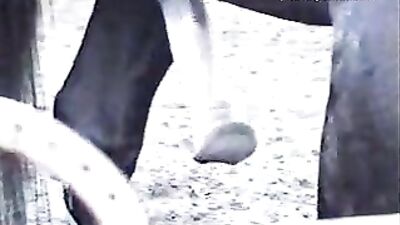 A Girl's Most Unforgettable Encounter: A Horse Fucking Her Beyond Belief