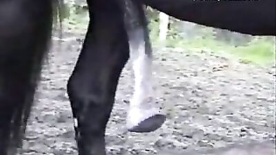 A Girl's Most Unforgettable Encounter: A Horse Fucking Her Beyond Belief