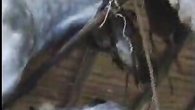 A Woman's Sacrifice: How Her Husband Supported Her Through Fucking Horses.