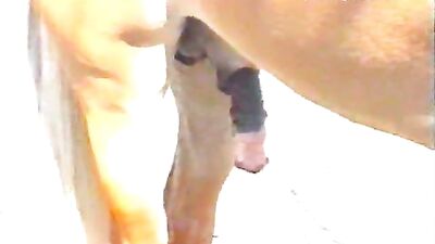 Experience Free Amateur Porn Videos Like Never Before