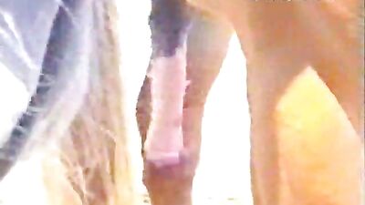 Experience Free Amateur Porn Videos Like Never Before