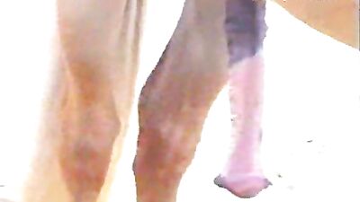 Experience Free Amateur Porn Videos Like Never Before