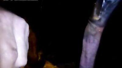 Girl Holds Her Power as She Grasp a Horse's Most Intimate Part