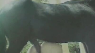Girl Fights the Unthinkable: Facing the Unimaginable In a Battle Against Horse